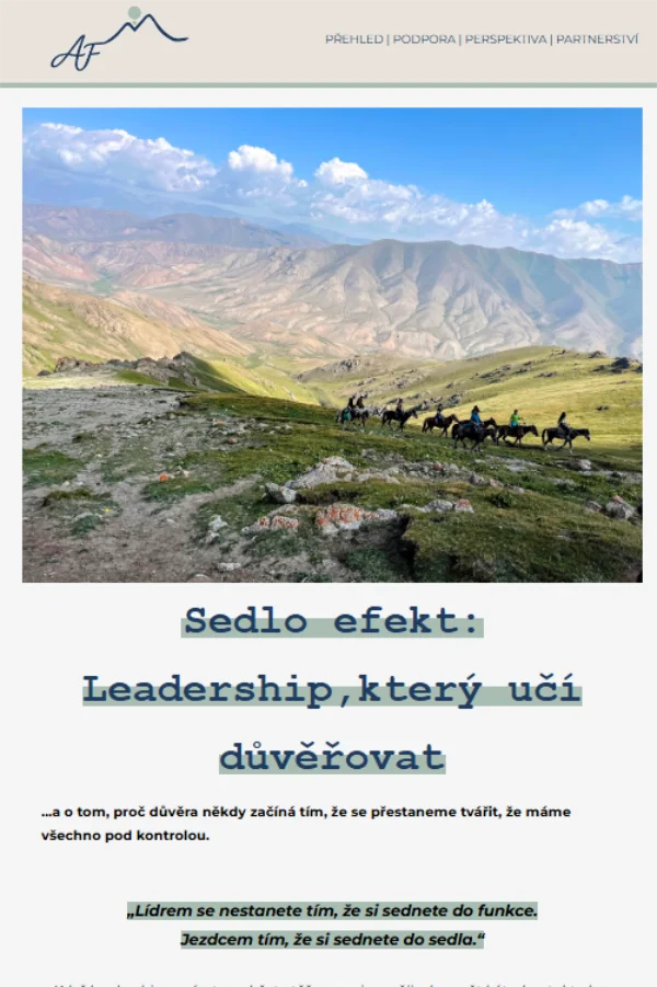 Náhled newsletteru o sedlo efektu – leadership v praxi